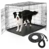 Klatka dla psa kennelowa + smycz linowa - zestaw